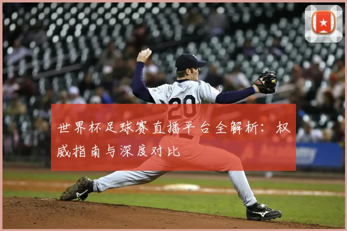 世界杯足球赛直播平台全解析：权威指南与深度对比