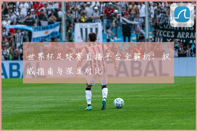 世界杯足球赛直播平台全解析:权威指南与深度对比