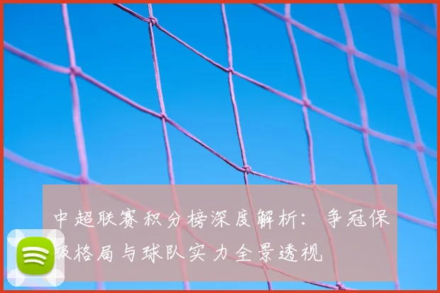 中超联赛积分榜深度解析：争冠保级格局与球队实力全景透视